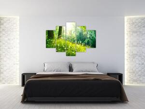 Modern képek - természet (150x105cm)