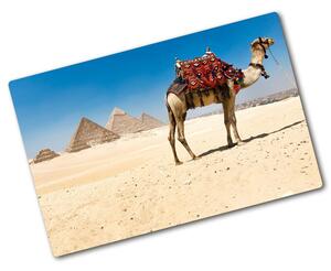 Üveg vágódeszka Camel kairóban