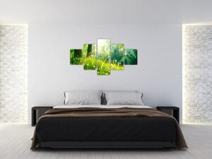 Modern képek - természet (125x70cm)