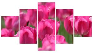 Festmények - tulipánok (125x70cm)