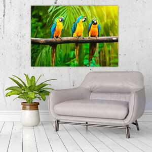 Modern kép - papagájok