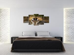Modern kép - állatok (150x70cm)