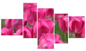 Festmények - tulipánok (150x85cm)
