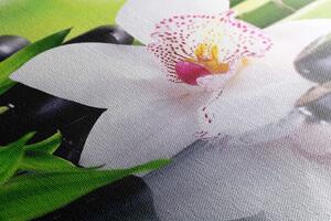 Kép japán orchidea japán témával