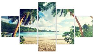 Kép - pálmafák, a tengerparton (125x70cm)
