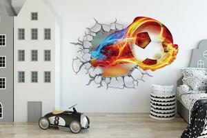 3D focilabda falmatrica 65 x 95 cm