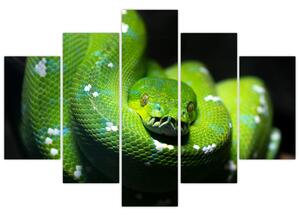 Az állatok képe - kígyó (150x105cm)