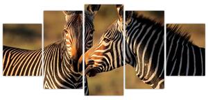 Kép - zebra (150x70cm)