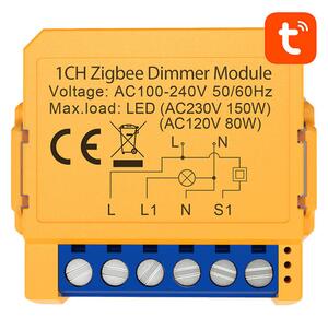 Avatto ZigBee ZDMS16-1 TUYA Intelligens aljzatkapcsoló
