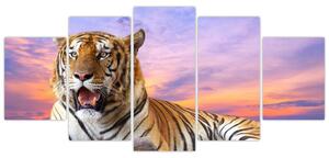 Kép - fekvő, tigris (150x70cm)