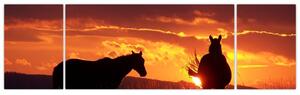 Kép - lovak, napnyugtakor (170x50cm)