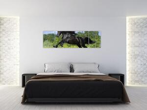 Festészet - lovak (170x50cm)