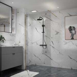 Erga Paris, Beépíthető zuhanykabin 50x200 cm, 8 mm-es átlátszó üveg, arany fényes profil, ERG-V02-PARIS-050x200-CL-GD