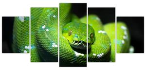 Az állatok képe - kígyó (150x70cm)