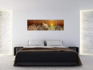 Állatok képei (170x50cm)