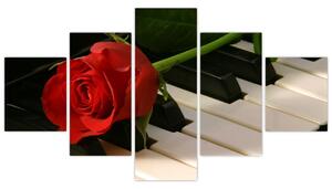 Képek - rózsa a zongorán (125x70cm)