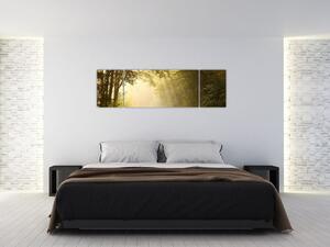 Egy nappali képe (170x50cm)