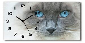 Vízszintes üvegóra Cat kék szem