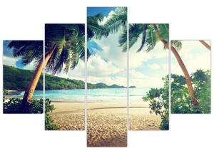 Kép - pálmafák, a tengerparton (150x105cm)