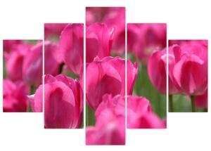 Festmények - tulipánok (150x105cm)