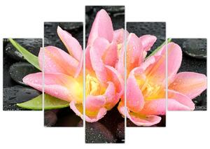 Festés - virágok (150x105cm)