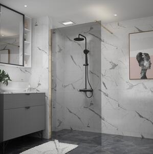 Erga Paris, Beépíthető zuhanykabin 60x200 cm, 8 mm-es szürke üveg, fényes arany profil, ERG-V02-PARIS-060x200-GR-GD