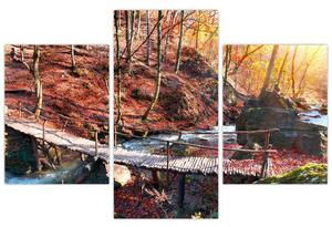 Kép - ősz, út, erdő (90x60cm)