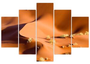Kép - sivatagi, dűnék (150x105cm)