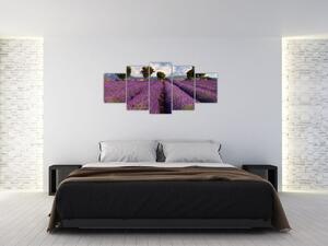 Kép - levendula, mező (150x70cm)