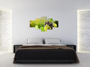 Kép - szőlő (125x70cm)