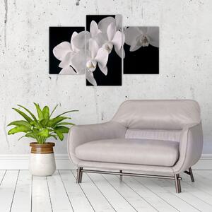 Kép - fehér, orchidea (90x60cm)
