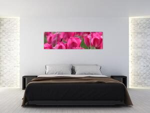 Festmények - tulipánok (170x50cm)