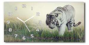 Vízszintes üvegóra Fehér tigris