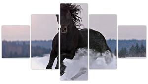 Kép - lovak, a hóban (125x70cm)