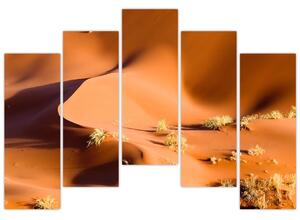Kép - sivatagi, dűnék (125x90cm)