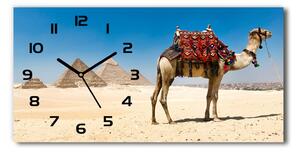 Vízszintes üvegóra Camel kairóban