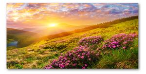 Akril üveg kép Sunset hegy