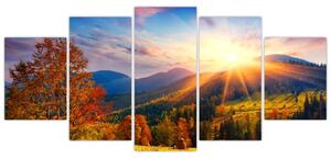 Kép - őszi természet (150x70cm)