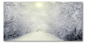Akril üveg kép Gyönyörű téli erdőben