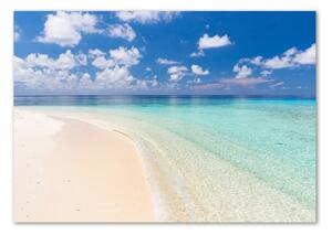 Üvegfotó Strand a maldív-szigeteken