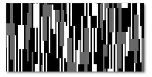 Akrilüveg fotó Fekete-fehér vonalak