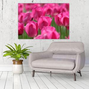 Festmények - tulipánok