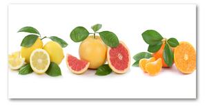 Akril üveg kép Citrusfélék
