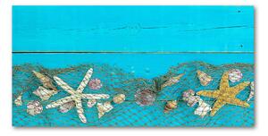 Akrilüveg fotó Starfish és kagylók
