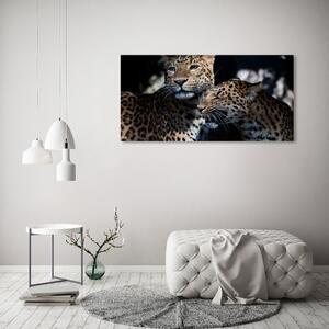 Akrilkép Két leopárd