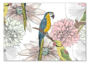 Akrilkép Papagájok és virágok