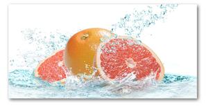 Akril üveg kép Grapefruit