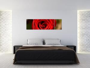 Modern kép - virágok (170x50cm)