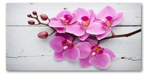 Akrilkép Orchid a fán