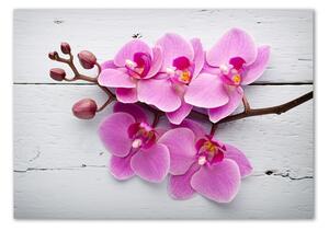 Egyedi üvegkép Orchid a fán